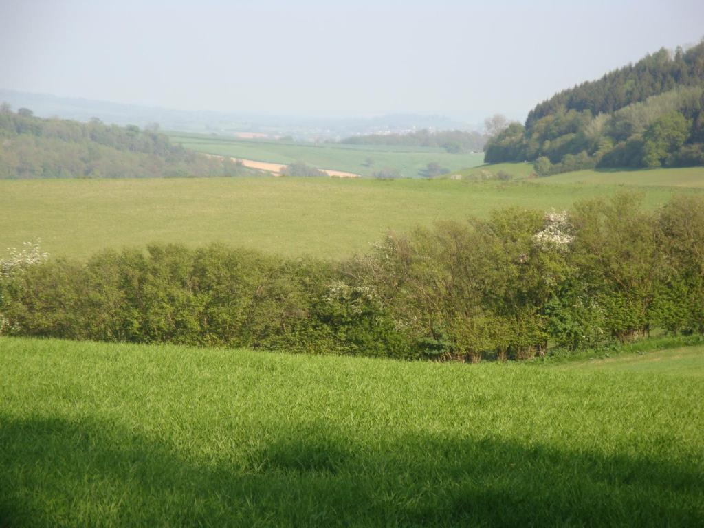 Stokesay Inn Крейвен-Армс Екстер'єр фото